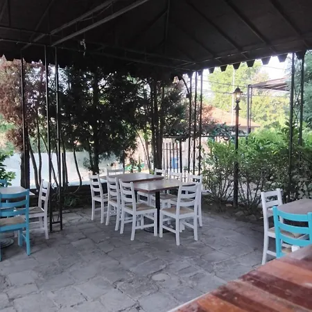 Vintage H&r St Anna ソフィア